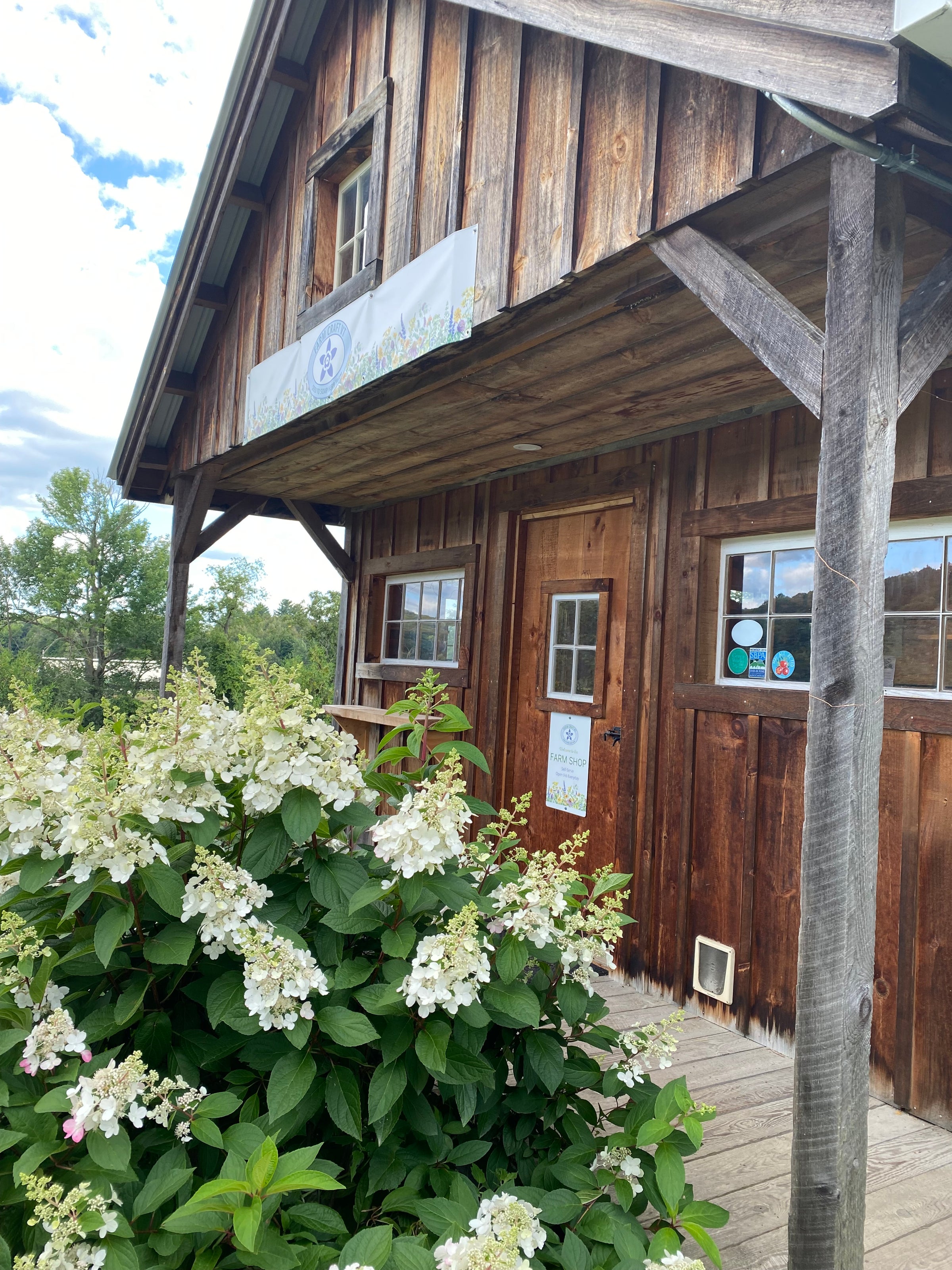 Laundry Soap Tablets, Botanical Products Made in Vermont